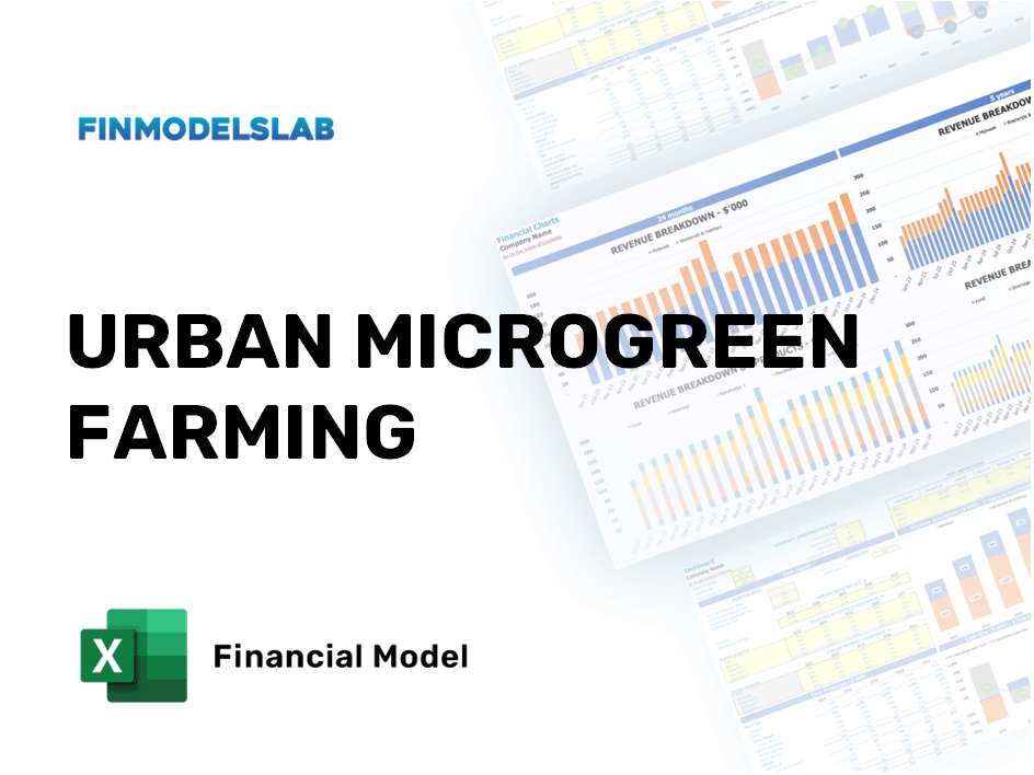 Excel financial model