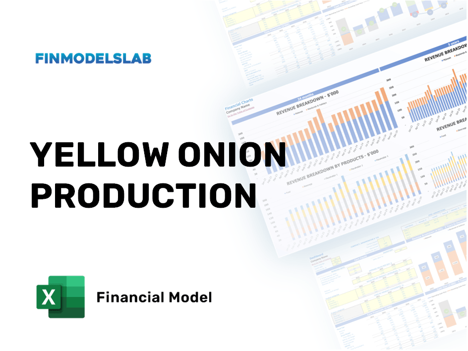 Excel financial model