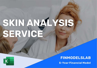 Excel financial model