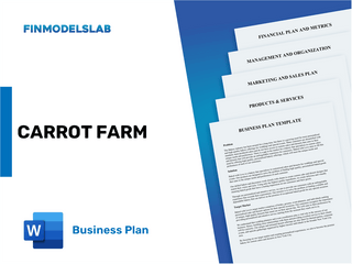 Excel financial model