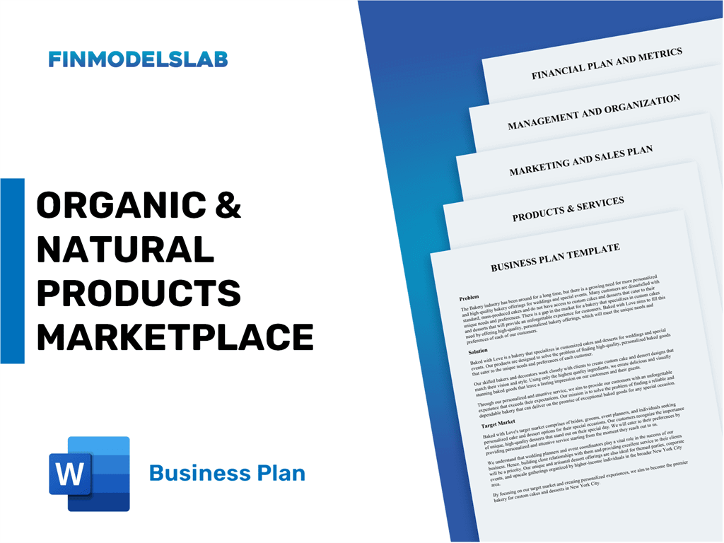 Excel financial model