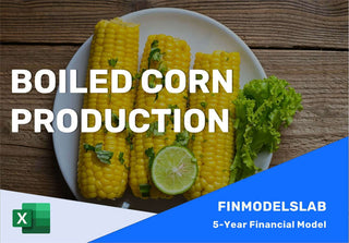 Excel financial model