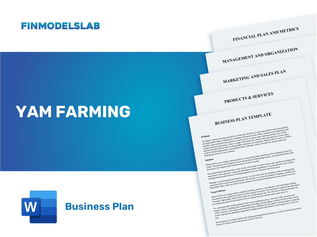 Excel financial model