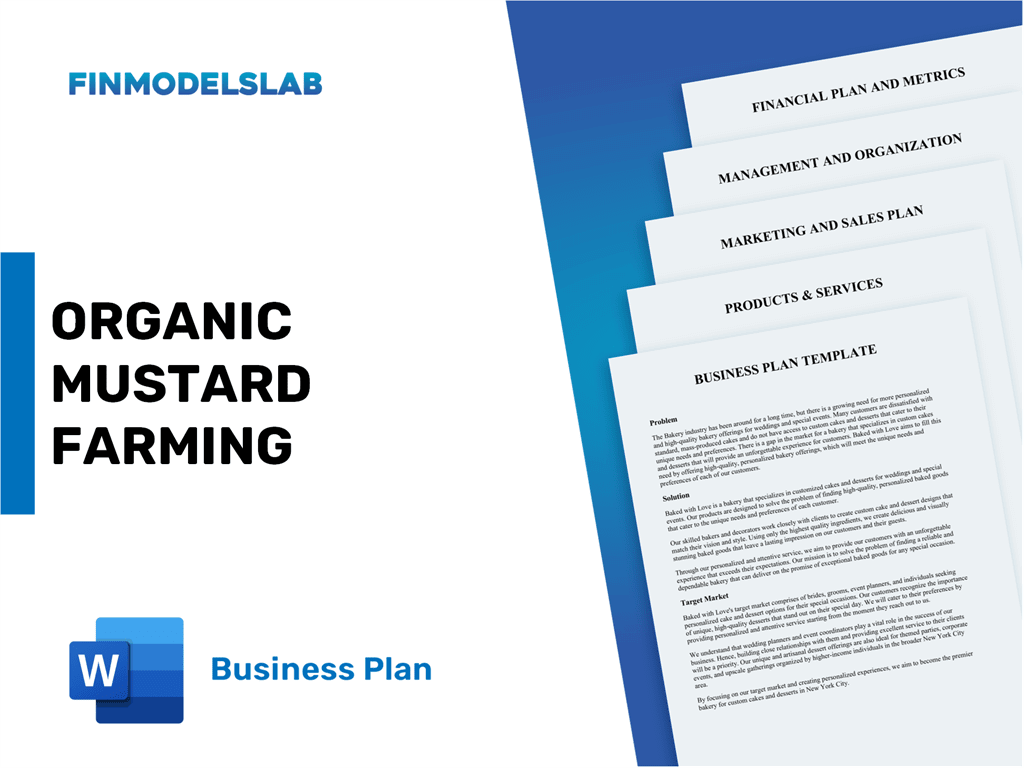 Excel financial model