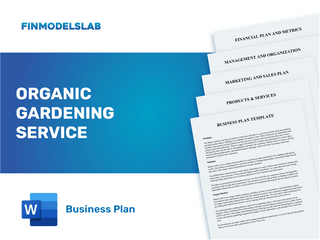 Excel financial model