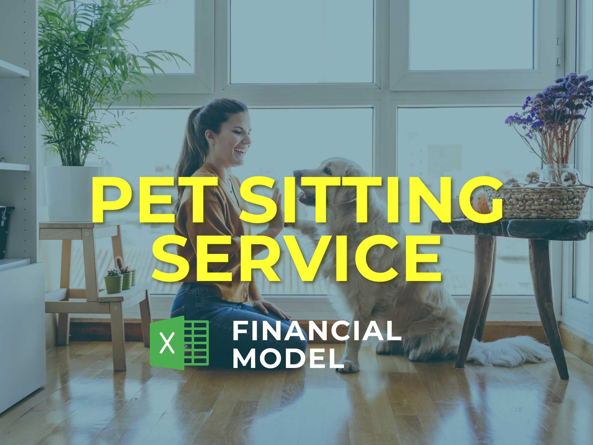 check-pet-sitting-service-financial-model-template-ready-for-pitch