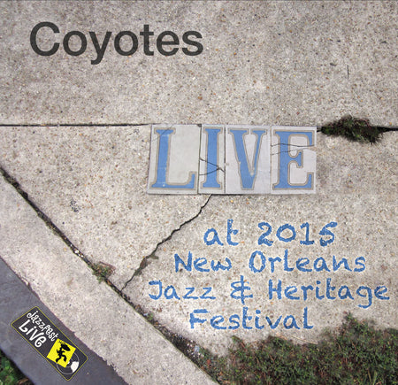 John BouttÌ_å© - Live at 2015 New Orleans Jazz & Heritage Festival