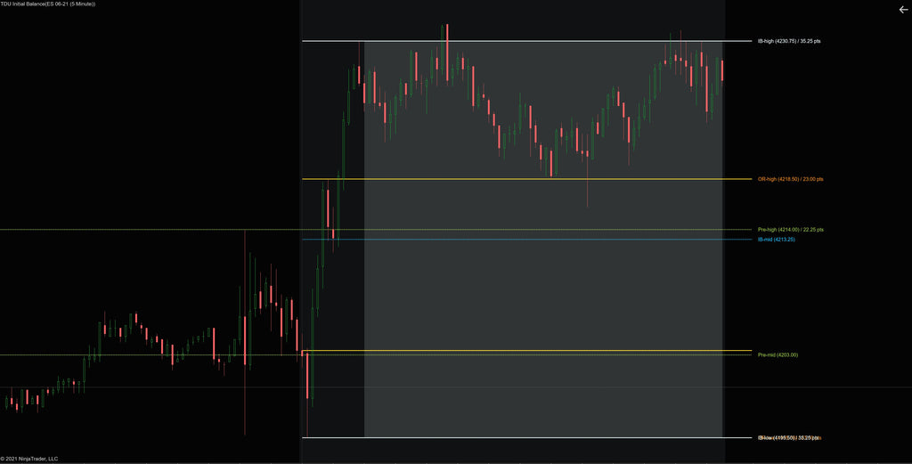 Initial Balance and Opening Range Indicator for NinjaTrader 8