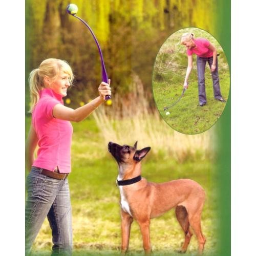 Lance u0026 Ramasse Balle pour jeu chien