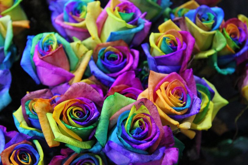 bouquet of rainbow roses