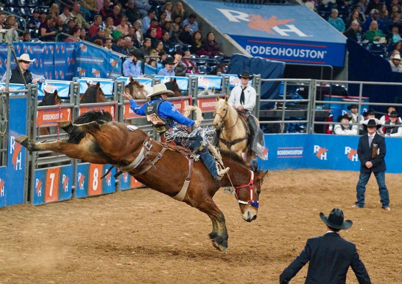 rodeo, lucchese