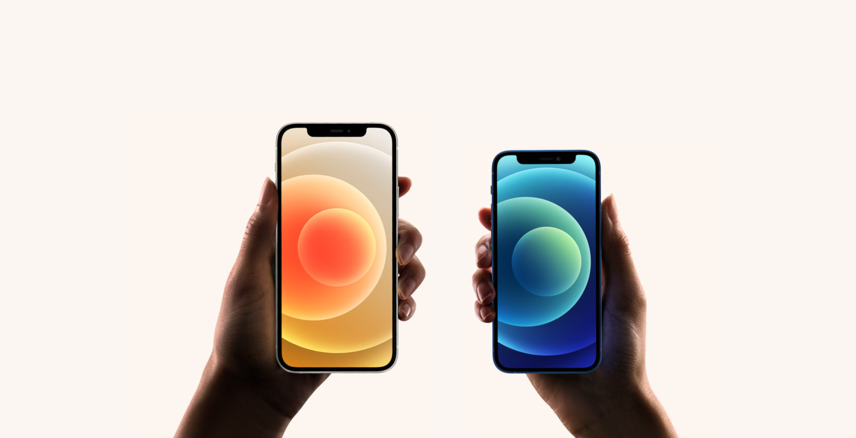 https://cdn.shopify.com/s/files/1/0522/6935/1106/files/apple-product-banner-2.jpg?v=1612247631