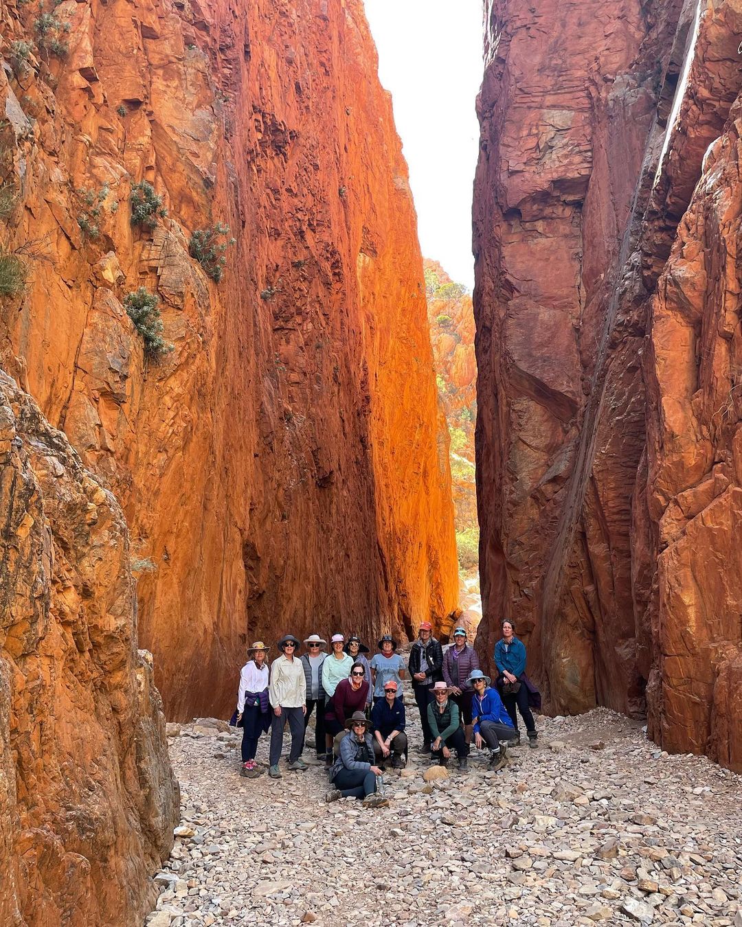 The Larapinta desert adventure with GirlsTrek