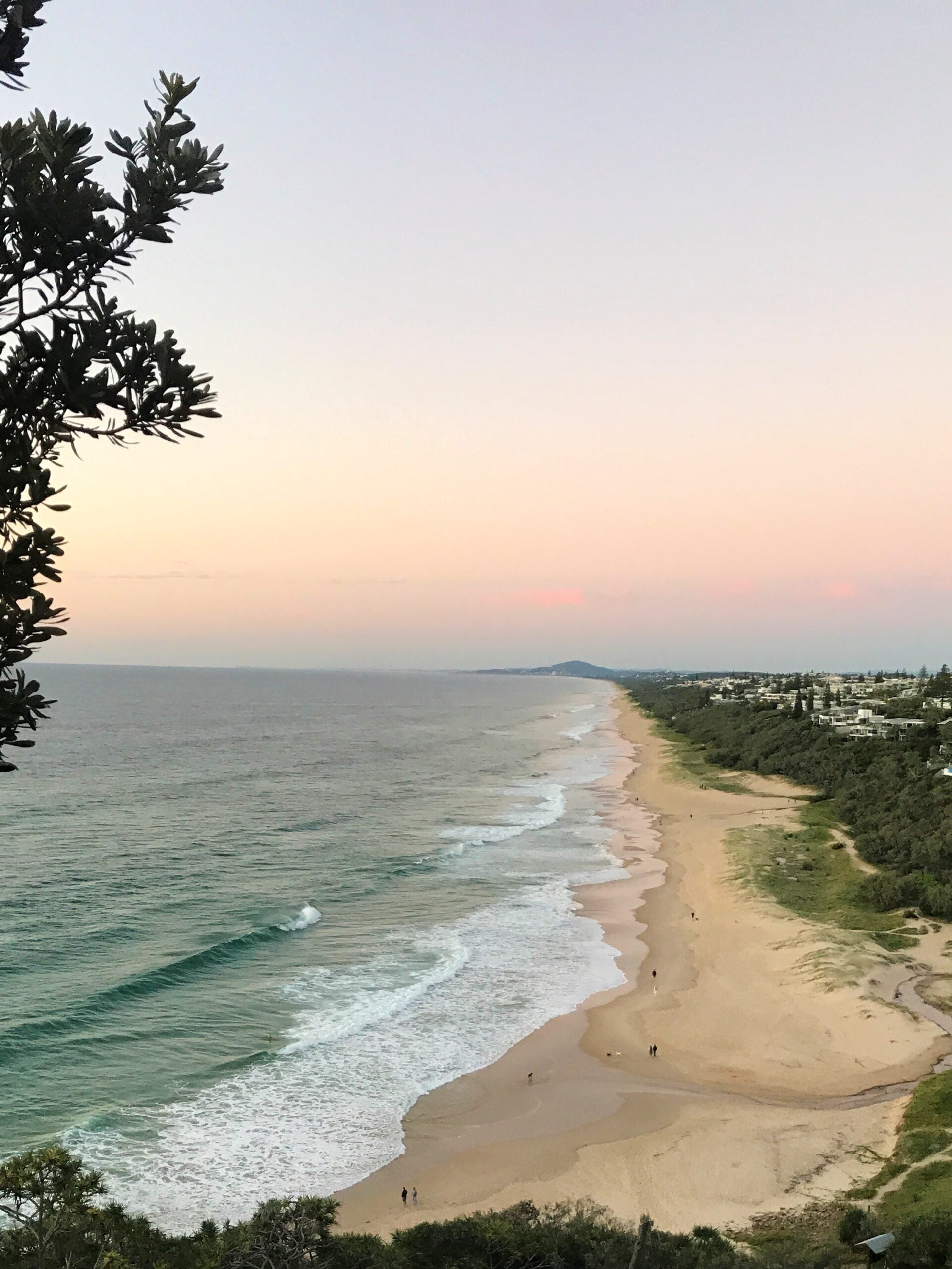 noosa head