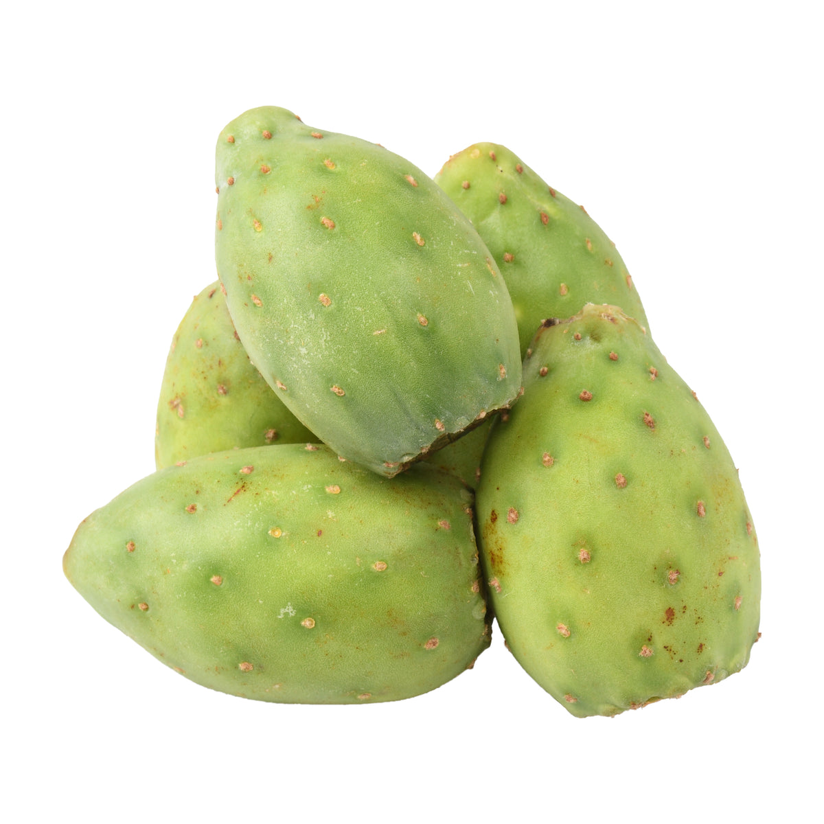 cactus fruit