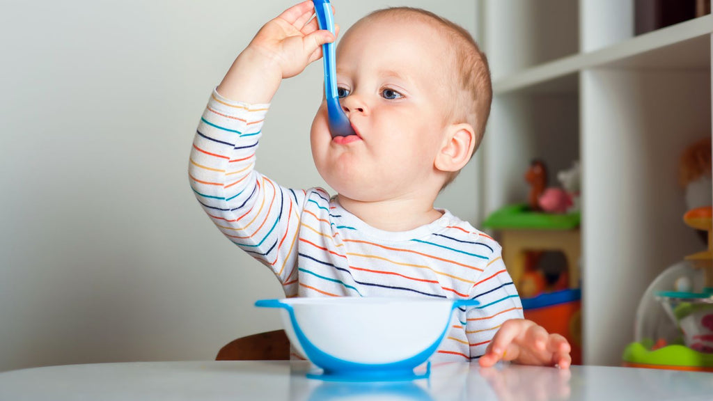 assiette bébé laquelle choisir ?