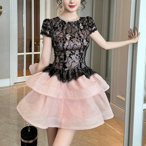 Lace Mini Dresses - It’s Erica’s Place