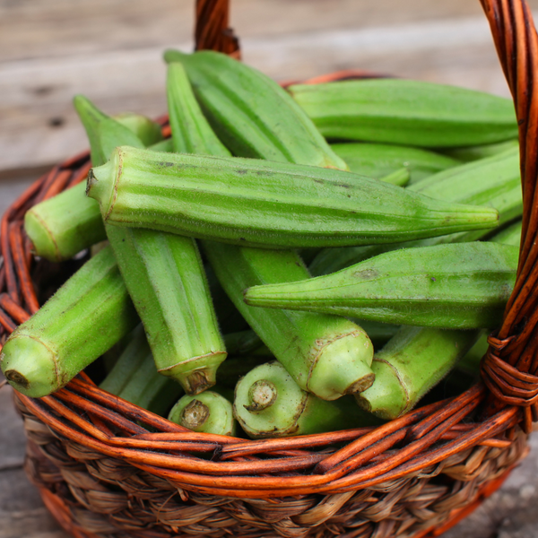 Okra Seed