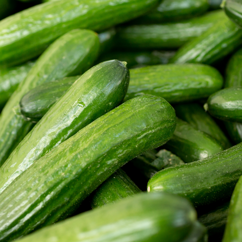 What is a persian cucumber