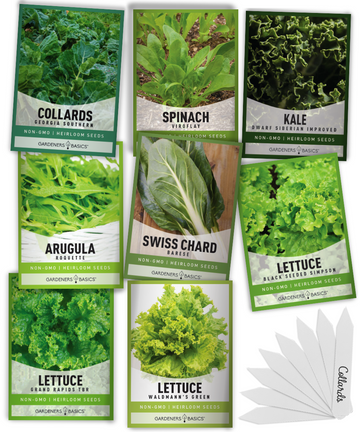  Fall Winter Vegetable Seeds Collection, 3000 Seeds, 9 Heirloom  Non GMO Varieties, Broccoli, Cabbage, Carrot, Cauliflower, Kale, Romaine  Lettuce, Sweet Peas, Radish, Spinach. : Patio, Lawn & Garden