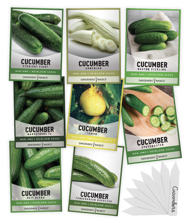Image of beans companion plant for armenian cucumber