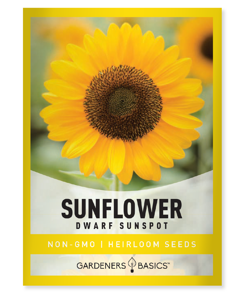 Henry Wilde Sunflower Seeds For Sale - Attract Pollinators & Birds –  Gardeners Basics