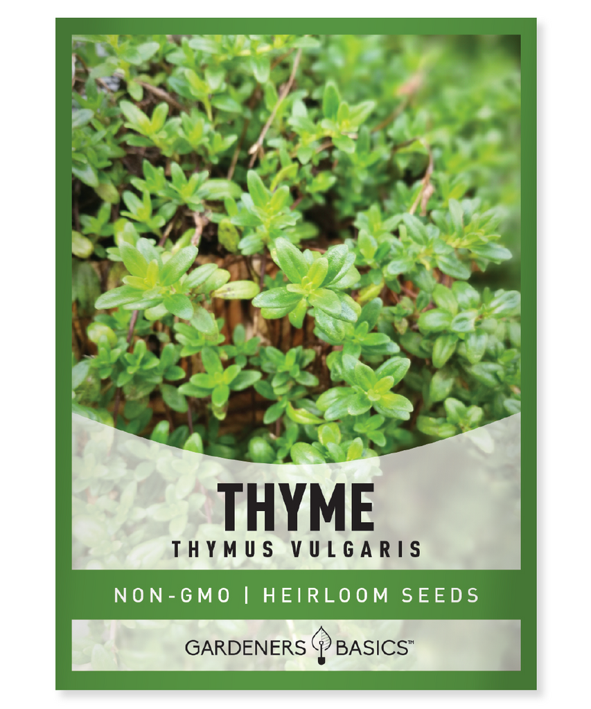 Hudson Valley Seeds German Thyme Seeds