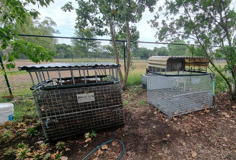 Two new stillage cage composters at LDCG thanks to COD grant funding