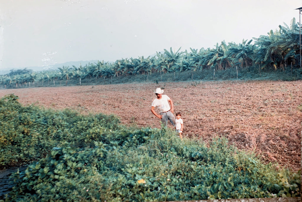 Family lands, Mexico, 1980s