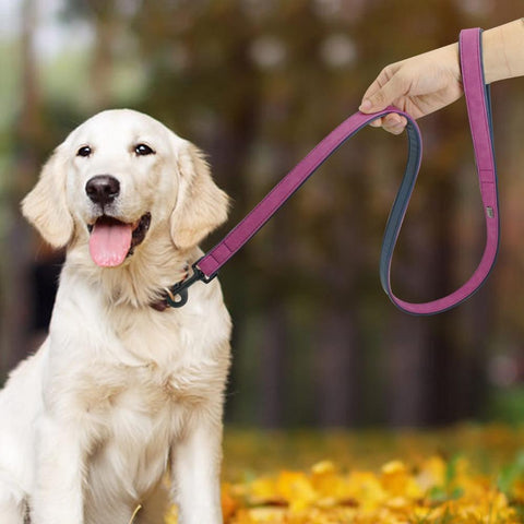 Leather Dog Leash - Dog's Love Store