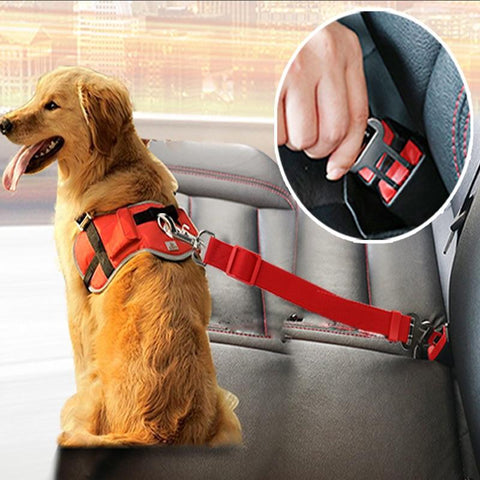 dog seatbelt