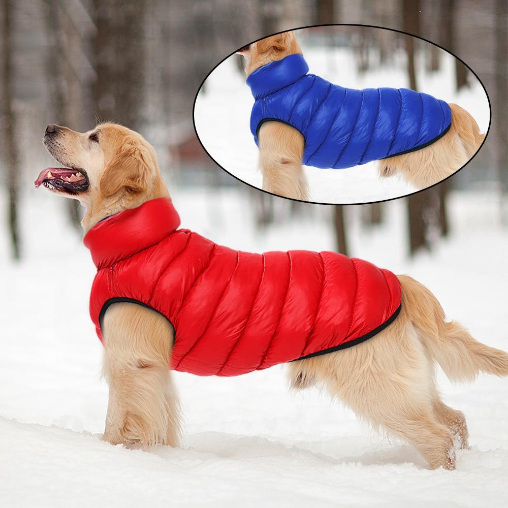 dog winter jacket