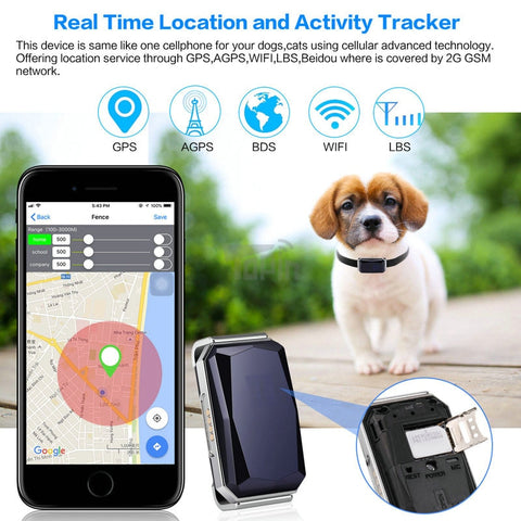 Dog Tracking Collar