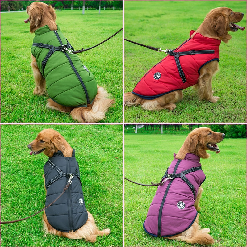 Dog Coat With A Built-In Harness