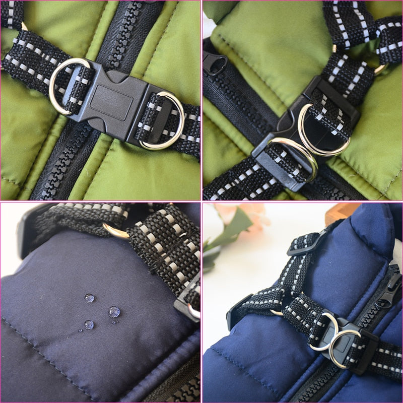 Dog Coat With Harness