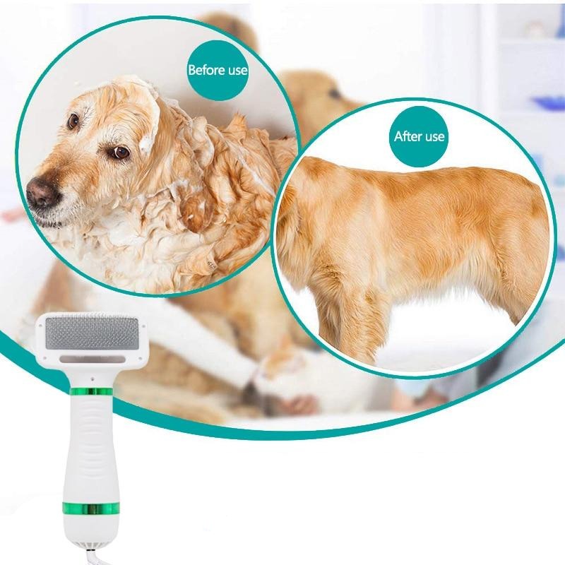 hairdryer for dogs