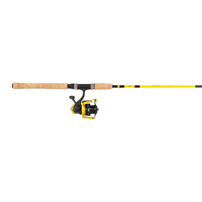 Fishing rod and reel combo chip