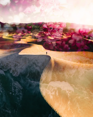 Journey - silhouette of a faraway man walking in a desert. Flowers overlaid on the sky, aerial ocean overlaid on the sand dunes.