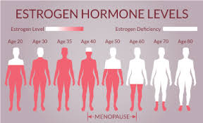 Oestrogen Levels Menopause