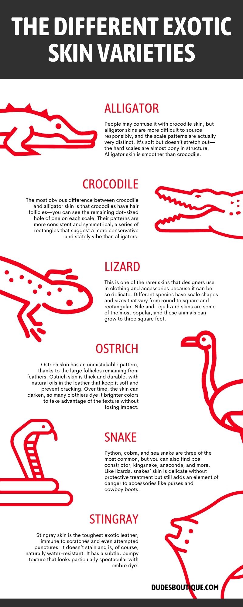 The Different Exotic Skin Varieties