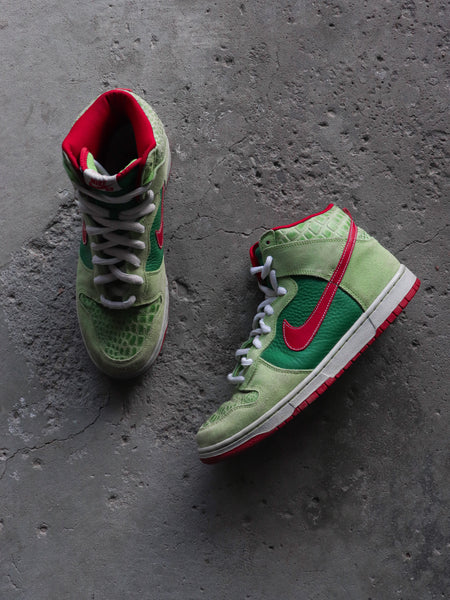 NIKE DUNK HIGH PRO SB Dr.FEELGOOD FOREST