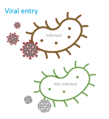 lightair virus luchtreiniger, ionisatie virussen, virusoverdracht voorkomen, virussen verwijderen