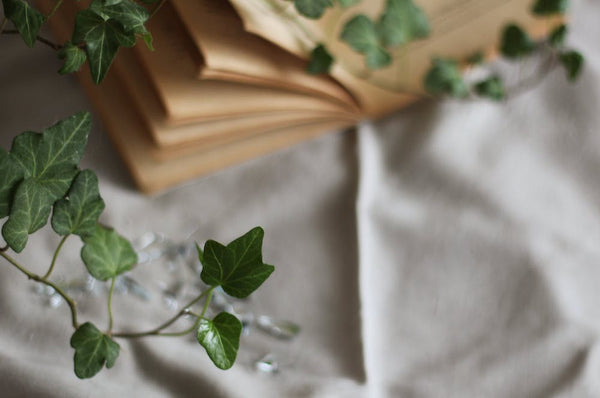 English ivy wrapped around an old book