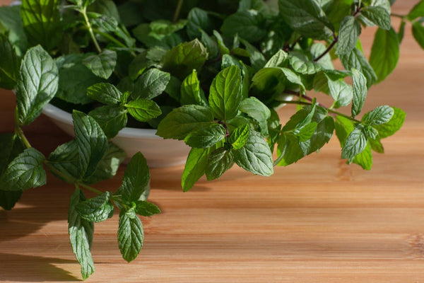 A peppermint plant growing on a desk