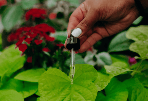 A woman holds Sunday Scaries CBD Oil by her plants