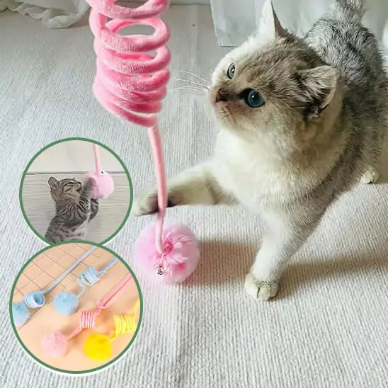Chat s’amusant avec le jouet suspendu Félin’Aérien – exercice et amusement