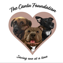 The Cantú Foundation