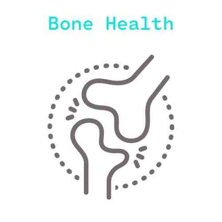 Icon of 2 bones with the text 'Bone Health' written above