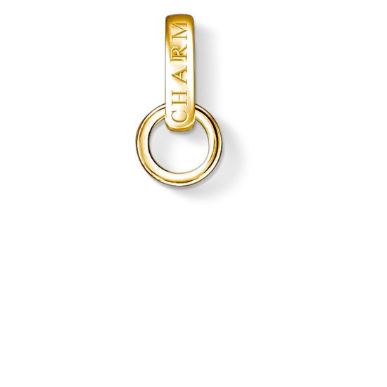 Thomas Sabo Charm Club Yellow Gold Charm Carrier D