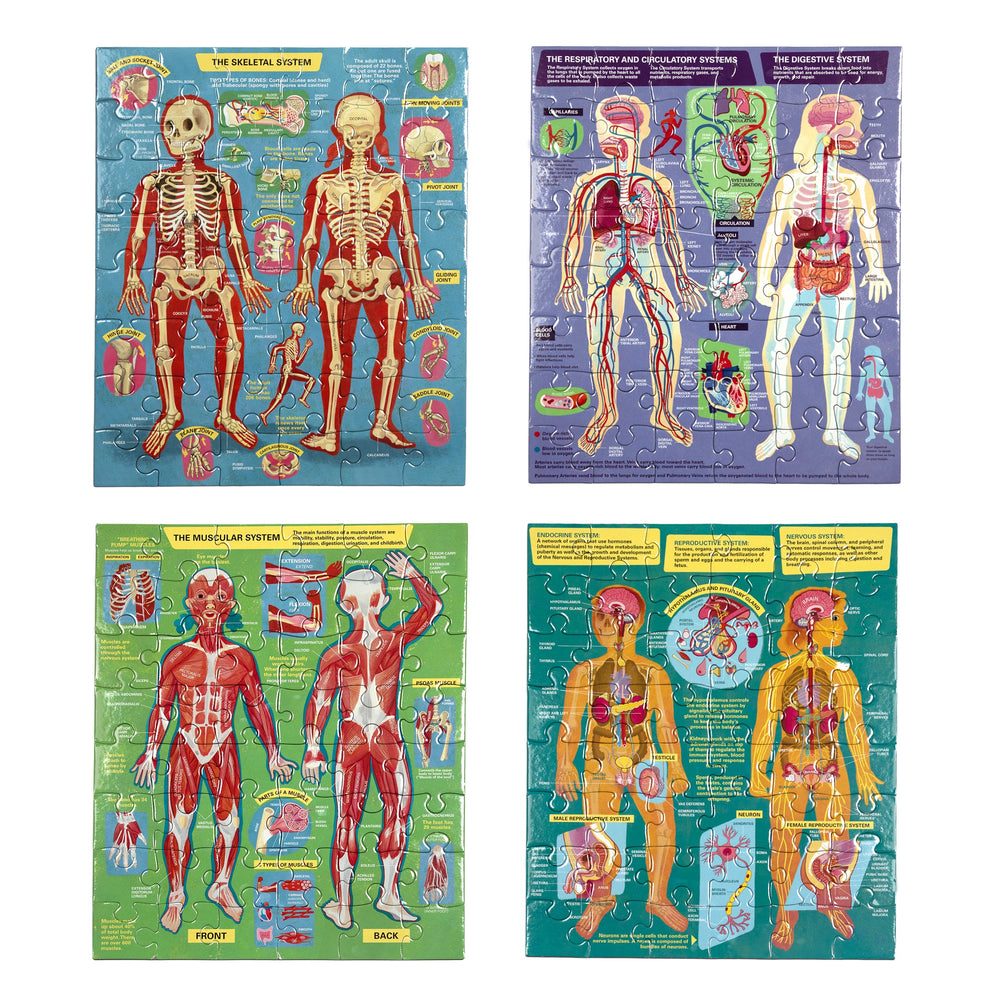 Human Anatomy 4-Puzzle 48 Piece Set | Unique Great Educational Gifts for Kids 4+